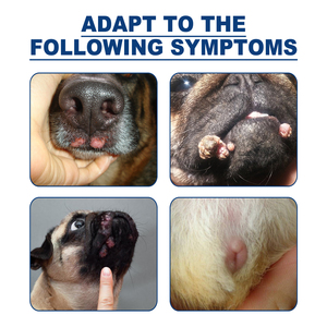 Gocce Naturali per la Rimozione di <span class=keywords><strong>Verruche</strong></span> Canine 20ml, Liquido Delicato per Lesioni Cutanee, <span class=keywords><strong>Cura</strong></span> della Salute degli Animali Domestici - Product Image 6