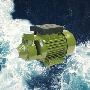 QB60 pompes <span class=keywords><strong>à</strong></span> <span class=keywords><strong>eau</strong></span> 60HZ 110V <span class=keywords><strong>220V</strong></span> double tension Bomba de agua 1/2HP AC électrique périphérique centrifuge <span class=keywords><strong>petite</strong></span> <span class=keywords><strong>pompe</strong></span> <span class=keywords><strong>à</strong></span> <span class=keywords><strong>eau</strong></span> Vortex - Product Image 3