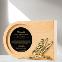 Plaques de récompense personnalisées en bois, trophées en forme d'épis de blé, plaques en verre cristal, coupes-trophées en bois