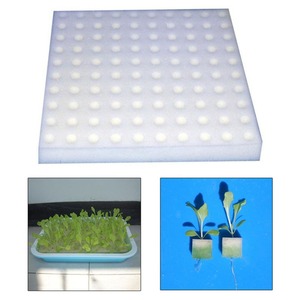 Éponge en mousse hydroponique pour semis <span class=keywords><strong>de</strong></span> légumes, culture hors-sol, idéale pour <span class=keywords><strong>balcon</strong></span> et pot <span class=keywords><strong>de</strong></span> fleurs - Product Image 4