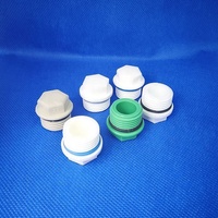 Vente directe d'usine, raccords de tuyauterie en plastique PPR, petit filetage mâle, bouchon de vidange, couleur blanche avec joint torique