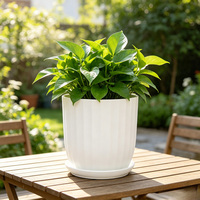 Pot Bunga Hias Taman untuk Dekorasi Dalam & Luar Ruangan Desain Terbaru Pot & Planter Bunga untuk Dijual