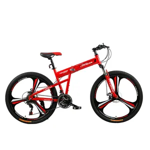 새로운 디자인의 맞춤형 크기 페인트 여러 색상 접이식 자전거 접이식 자전거