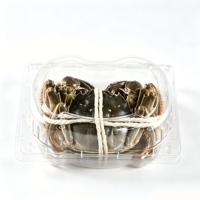 Emballage personnalisé, emballage alimentaire en PET translucide, robuste, jetable, différentes tailles, boîtes en plastique pour fruits de mer, crabes, emballage en boîte