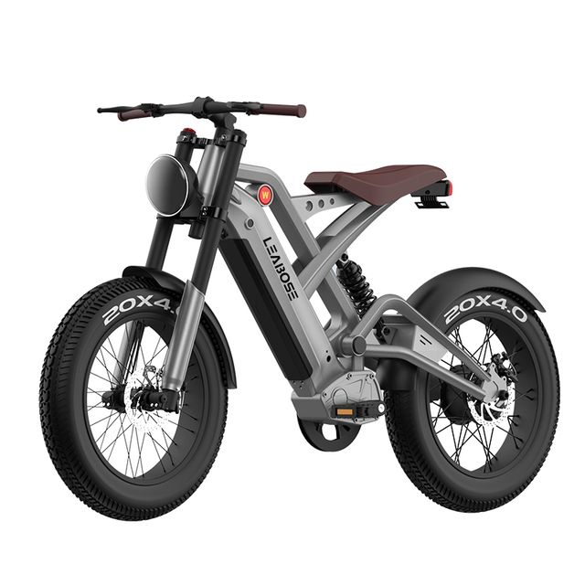 Factory Direct Sale Electric Bike Manufacturer E Bicycle 1000w Electric Mountain Bike