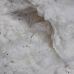 ALGODÓN COMBER NOIL DE VIETNAM AL MEJOR PRECIO - Product Image 1