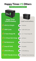 Batterie al Litio LiFePO4 12V 24V Dirette dalla Fabbrica, 50Ah 100Ah 150Ah, Batteria per Accumulo Energia Solare Domestica, Batteria al Litio a Ciclo Profondo