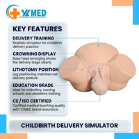 Maniquí Ginecológico Avanzado para Ciencias Médicas, Entrenamiento de Partos en Ginecología, Obstetricia, Simulador Médico de Partería, CE/ISO