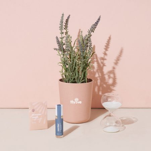 Risvegliare il design minimalista viso nebbia di bambù zucchero di girasole kit di utilizzo del pavimento con fiore artificiale in fibra vegetale - Product Image 4