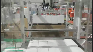 Machine d'emballage automatique électrique pour cartons, pour l'industrie <span class=keywords><strong>alimentaire</strong></span> et chimique, haute efficacité, haute productivité - Product Image 5