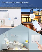 Interrupteur mural intelligent WIFI Tuya pour maison connectée, bouton unique, sans neutre, norme européenne, commande vocale et via application, programmation, 250V / Interrupteur intelligent