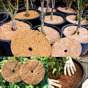 Manta de Fibra de Coco para Control de Malezas y Retención de Humedad, Anillo para Árboles, Uso de 2-3 Años, Suministro de Blue Lotus Farm - Product Image 1