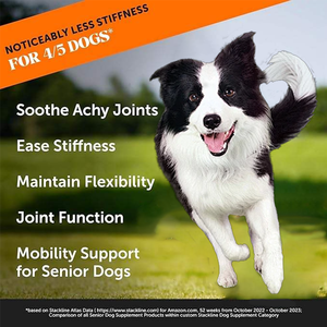 Suplemento Canino 20 en 1 para Perros de Razas Grandes <span class=keywords><strong>y</strong></span> Pequeñas, Píldoras para el Alivio del Dolor de Cadera <span class=keywords><strong>y</strong></span> Articulaciones, Desarrollo de Productos de Alta Palatabilidad de Fábrica OEM - Product Image 3