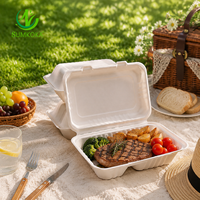 Sumkoka Contenants alimentaires à emporter 100% compostables et biodégradables 9x6, boîte à lunch jetable en bagasse de canne à sucre