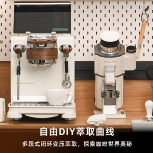 เครื่องชงกาแฟเอสเพรสโซแบบกึ่งอัตโนมัติ Wendougee DATA-S แบบหม้อต้มคู่ พร้อมปั๊มเกียร์เชิงพาณิชย์ ปรับแรงดันได้ - Product Image 4