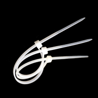 BCT001 Brida para cables de nailon autoblocante de alta calidad promocional