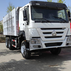 Camión volquete articulado HOWO 8*4 de 16m3, usado, con motor diésel de 336hp, personalizable, procedente de China, en venta por subasta. - Product Image 4