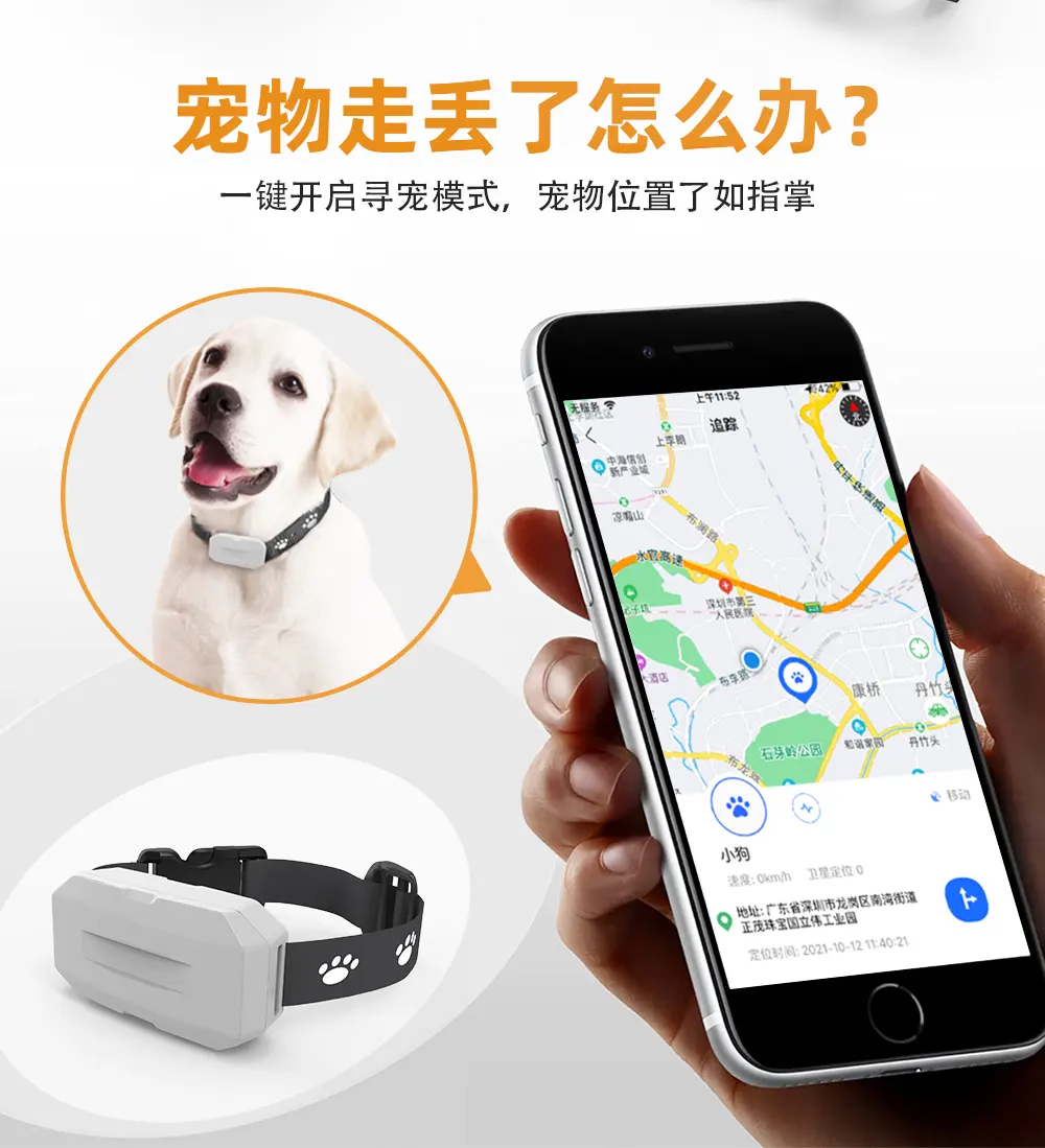 Rongxiang pet smart tracker localizzatore GPS di monitoraggio per cane gatto domestico versione cinese