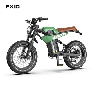 PXID热卖20英寸车轮尺寸胖轮胎电动自行车750W 1200W超级电机钢架电动山地车