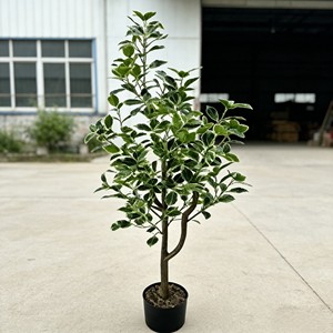 ต้นไทรประดิษฐ์ - Product Image 3