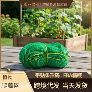Filet de jardin Chengye 100M en nylon vert pour légumes, fruits, haricots, chrysanthèmes – Support végétal - Product Image 3