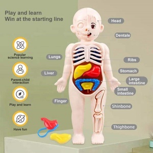 Modèle d'anatomie du corps humain, jouet éducatif - Matériaux en silicone et plastique, assemblage facile, apprentissage scientifique pour les enfants - Product Image 3