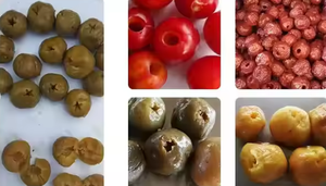 Mận rỗ Máy mận rỗ Máy mơ rỗ máy - Product Image 5