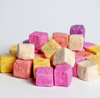 Gefreeze-droogde yoghurtblokjes met echt fruit - Gezonde & heerlijke snack voor kinderen en volwassenen
