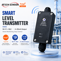 Transmisor de Nivel Inalámbrico Tuya Smart Wi-Fi/BLE 5.0, Salida Dual de 4-20 mA, Sensor de Presión Sumergible de Alta Precisión IP68 para Agua y Aceite