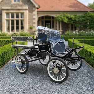 Offre Spéciale : Mini Chariot à Chevaux Noir et Chariot à Poney – Nouveau Transport Spécial à Vendre - Product Image 1