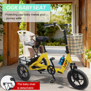 Triciclo Elettrico Pieghevole Leggero da 14 Pollici per Adulti/Anziani, Motore da 350W e Batteria da 48V10AH, E-Bike Cargo Pieghevole, Certificato DOT - Product Image 4