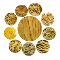 Machine extrudeuse automatique pour la production de morceaux de soja, de protéines de soja texturées, de peau de tofu et de viande de soja, capacité 50 kg/heure