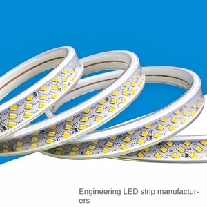 Venta al por mayor comercial de alto voltaje cortable smd5050 RGB ajustable exterior cartelera parque temático escenario impermeable tira de luz LED - Product Image 2