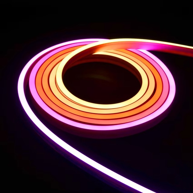 IP67 PVC Silicone 5050 RGB Neon Flexible LED Strip Wall Light 12V/24V 10m for Wedding