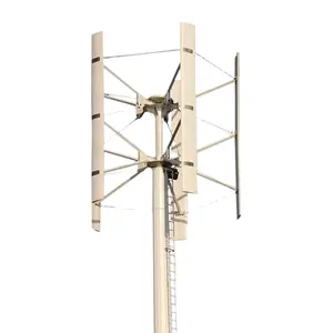 A basso rumore 2KW turbina eolica verticale Tulip Windmill uscita AC 48V con certificazione CE