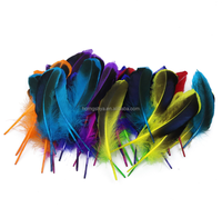 Plume d'oie de couleur naturelle pour artisanat DIY coiffure chapeau cheveux Costume accessoire carnaval fête mariage maison Halloween décor