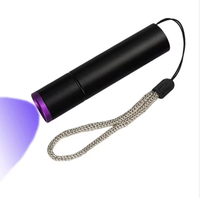 Senter UV 365nm USB-C Isi Ulang Filter Hitam Detektor Noda Kering Urine Hewan Peliharaan Logo OEM Senter UV Mini