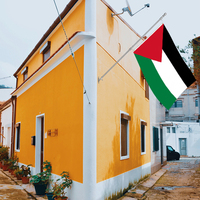 Vente en gros 3x5ft 68D/100D Polyester Drapeaux de la Palestine Personnalisables Toutes les Nations Style Fanion Livraison rapide par un fournisseur fiable