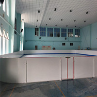Plaque de glace synthétique UHMWPE pour patinoire avec fonction autolubrifiante, service de découpe, taille personnalisée