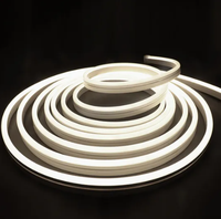 Maxto Offre Spéciale blanc chaud 10x10mm DC Led Neon Flex Light Sign Cuttable Flex Led Strip Light Silicone Tube Wall Decor Light