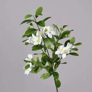 Branche de fleur artificielle Myrte commun (Myrte de Chine) à 36 têtes, fausse fleur de groseille à maquereau pour décoration florale de mariage, fête, maison et hôtel - Product Image 2