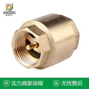 Vannes de retenue verticales en laiton à filetage interne avec ressort et noyau en cuivre - Réductions en gros disponibles - Product Image 3