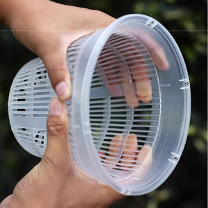 <span class=keywords><strong>Maceta</strong></span> Transparente de Plástico para Orquídeas, Duradera, con Sistema de <span class=keywords><strong>Autorriego</strong></span>, para Cultivo de Plantas y Flores - Product Image 6