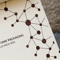 Boîte à parfum rigide de style livre blanc magnétique personnalisée de qualité supérieure avec insert ajusté pour la présentation de parfums et l'emballage cadeau