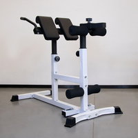 Machine d'extension de dossier de chaise romaine ZYFIT-Banc d'hyperextension du bas du dos-Équipement d'exercice réglable pour la salle de sport à domicile