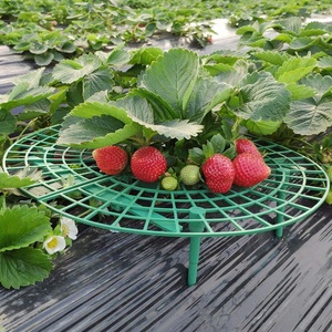 Support de fraises pour plantes de jardin, 4 pièces, maintien des fruits rehaussé, évite le brocade moulant, pilier de vigne - Product Image 1