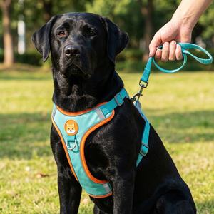 Verstellbares, robustes und weiches Hundeleinen- und Geschirr-Set mit Metallschnalle, reflektierendes Sicherheitsgeschirr für Haustiere, einfaches Westen-Halsband - Product Image 1