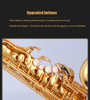 Starway OEM ODM Professional Performance Level Lacquer Gold Hand-Carved E-Flat Alto Saxophone With Accessories Wind Instruments