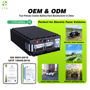 CTS 可充电锂电池 24V 48V 100Ah 200Ah 适用于农业机械、农用车辆动力系统 - Product Image 3