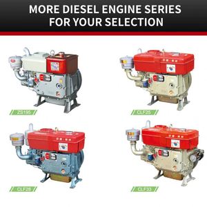 Moteur diesel monocylindre refroidi par eau ZS1115M à démarrage rapide et efficace, 22 CV, pour machines agricoles - Product Image 5